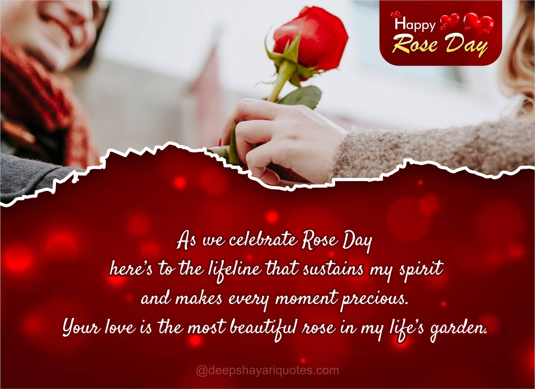 Best 150+ Happy Rose Day 2024: Wishes, Messages, Quotes